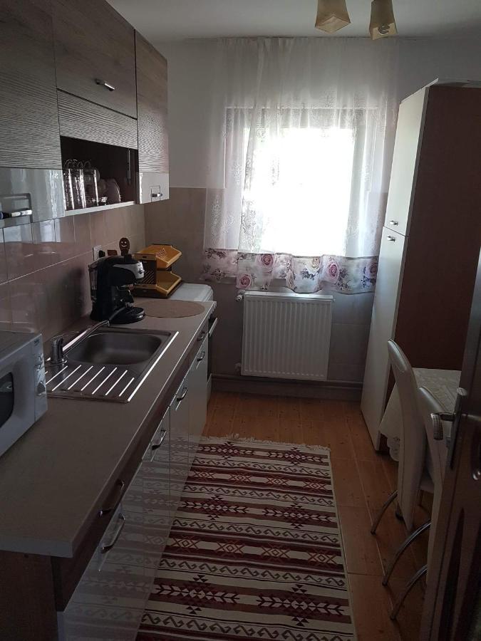 Borşa Casa Alma酒店 外观 照片
