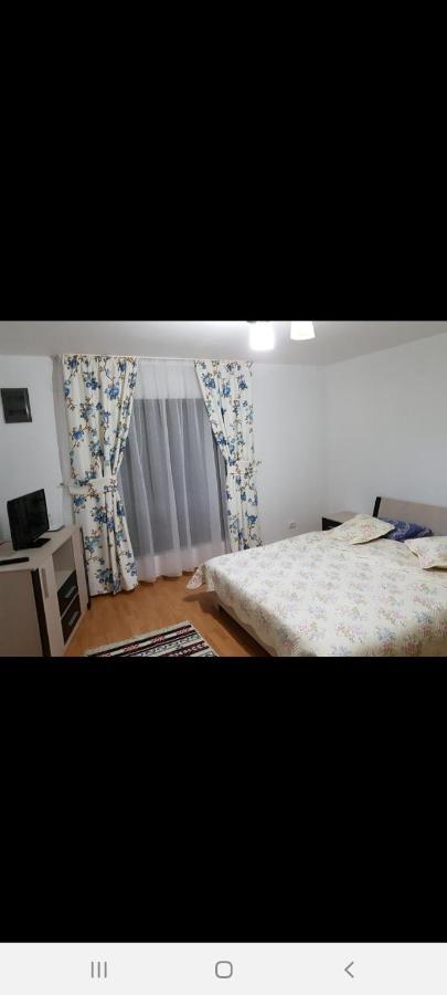Borşa Casa Alma酒店 外观 照片