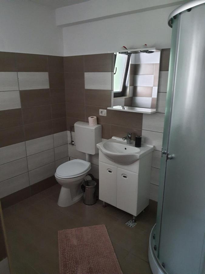 Borşa Casa Alma酒店 外观 照片