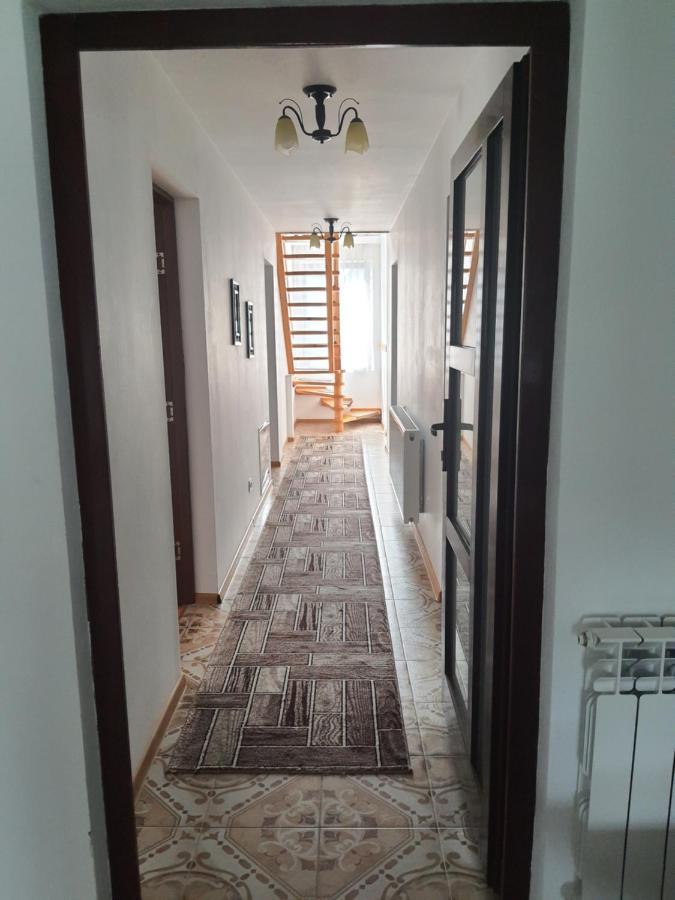 Borşa Casa Alma酒店 外观 照片