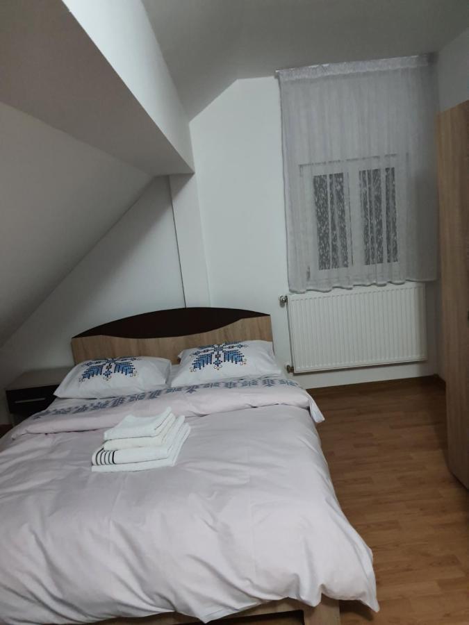 Borşa Casa Alma酒店 外观 照片